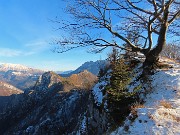 Monte VACCAREGGIO (1474 m) da Lavaggio di Dossena-11dic24 - FOTOGALLERY